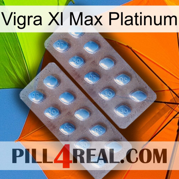 Vigra Xl Max Platinum viagra4.jpg